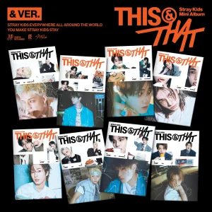 Stray Kids This&That & Ver